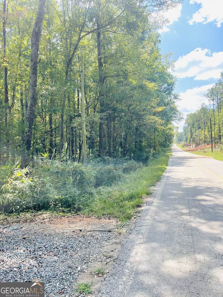 346 Ramah Church Road - Photo 1