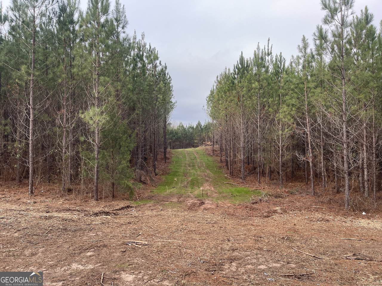 0 Bevis Rd Parcel 7 - Photo 1