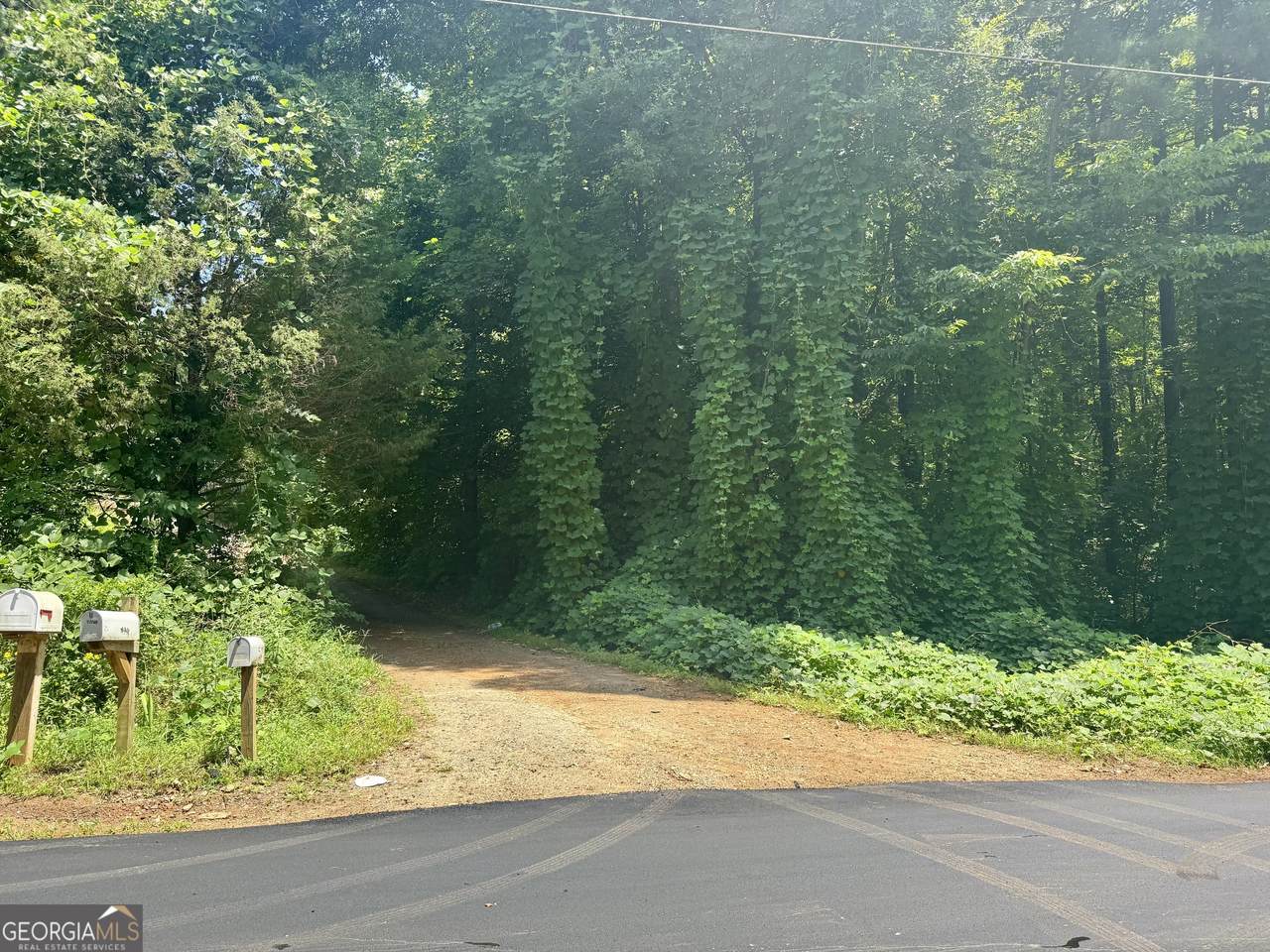 5324 Robin Trail - Photo 1