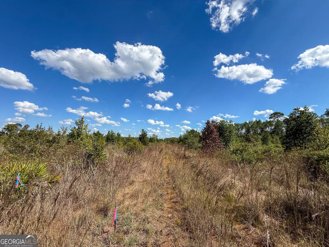 0 Highway 84 - Photo 1