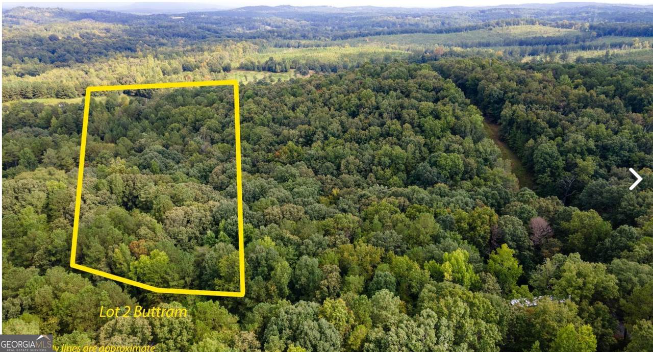 0 Buttrum Road - Photo 1