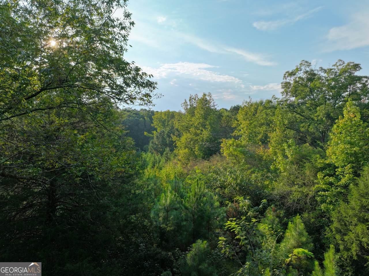 0 Bradfield Drive - Photo 1