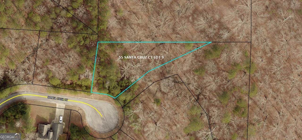 55 Santa Cruz Court - Photo 1