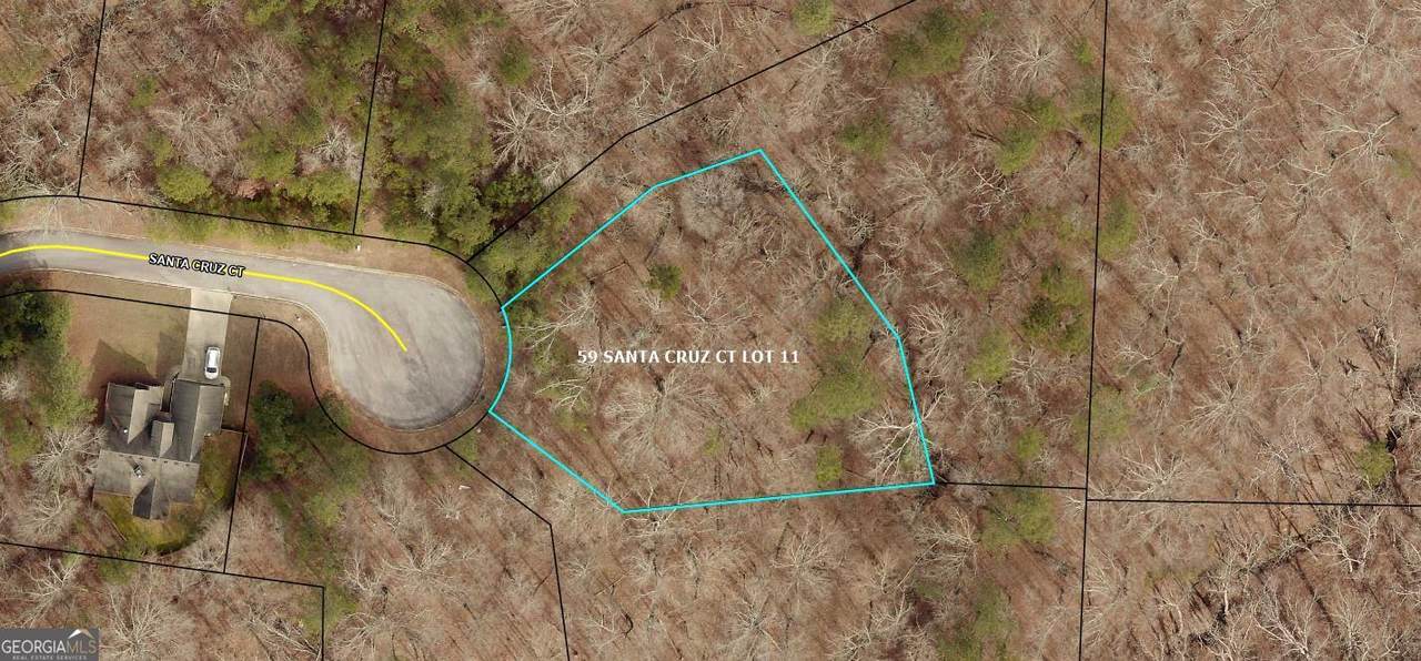 59 Santa Cruz Court - Photo 1