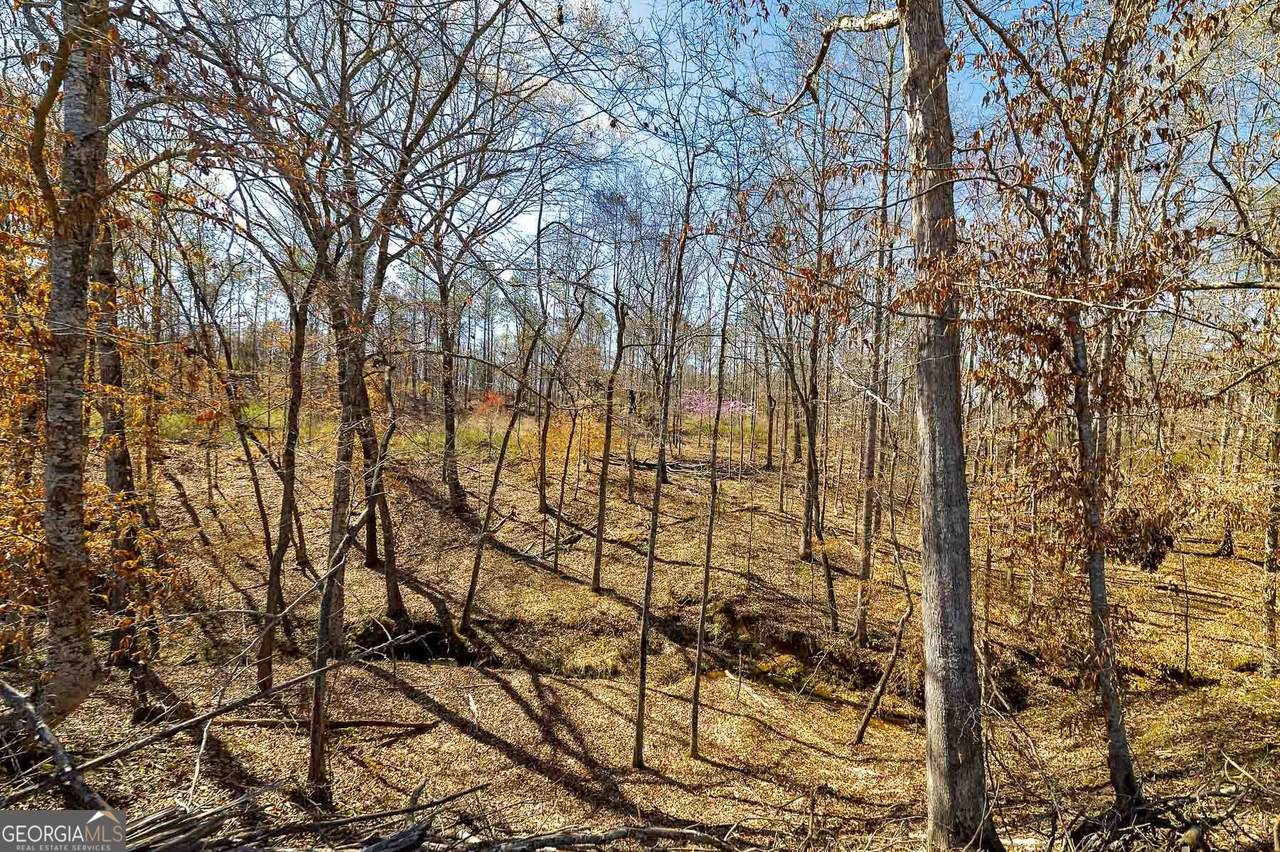 LOT 7 Mayfield Road - Photo 1