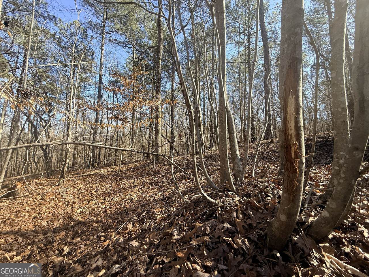 https://bt-photos.global.ssl.fastly.net/gamls/1280_boomver_2_10576298-2.jpg