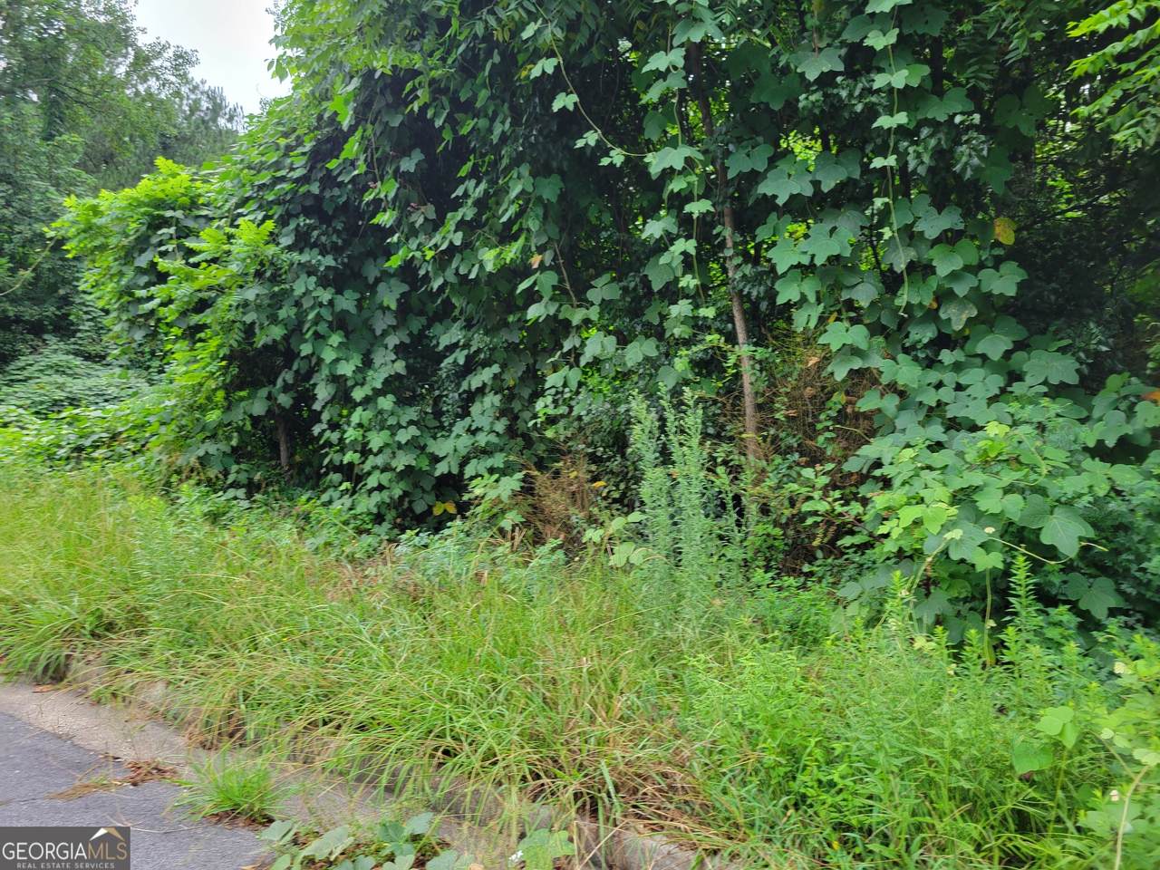 1036 Walnut Creek Lane - Photo 1