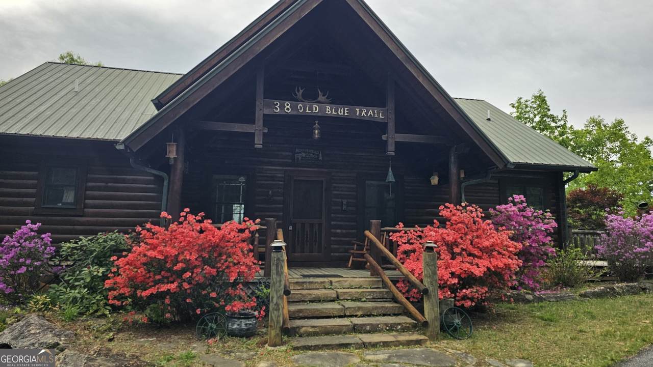 38 Old Blue Trail - Photo 1