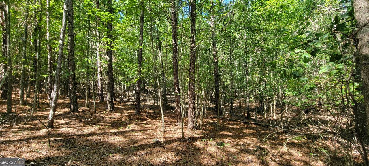 5 Ripplewood Trail - Photo 1