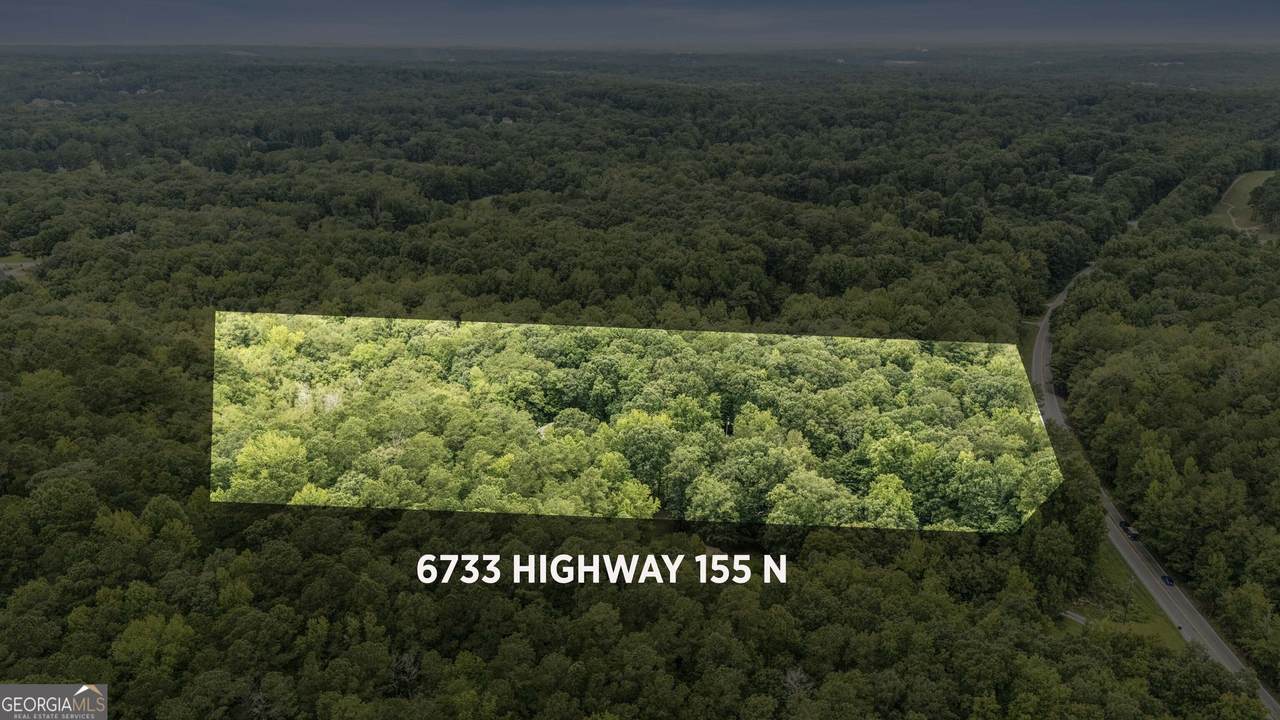 6733 Highway 155 - Photo 1