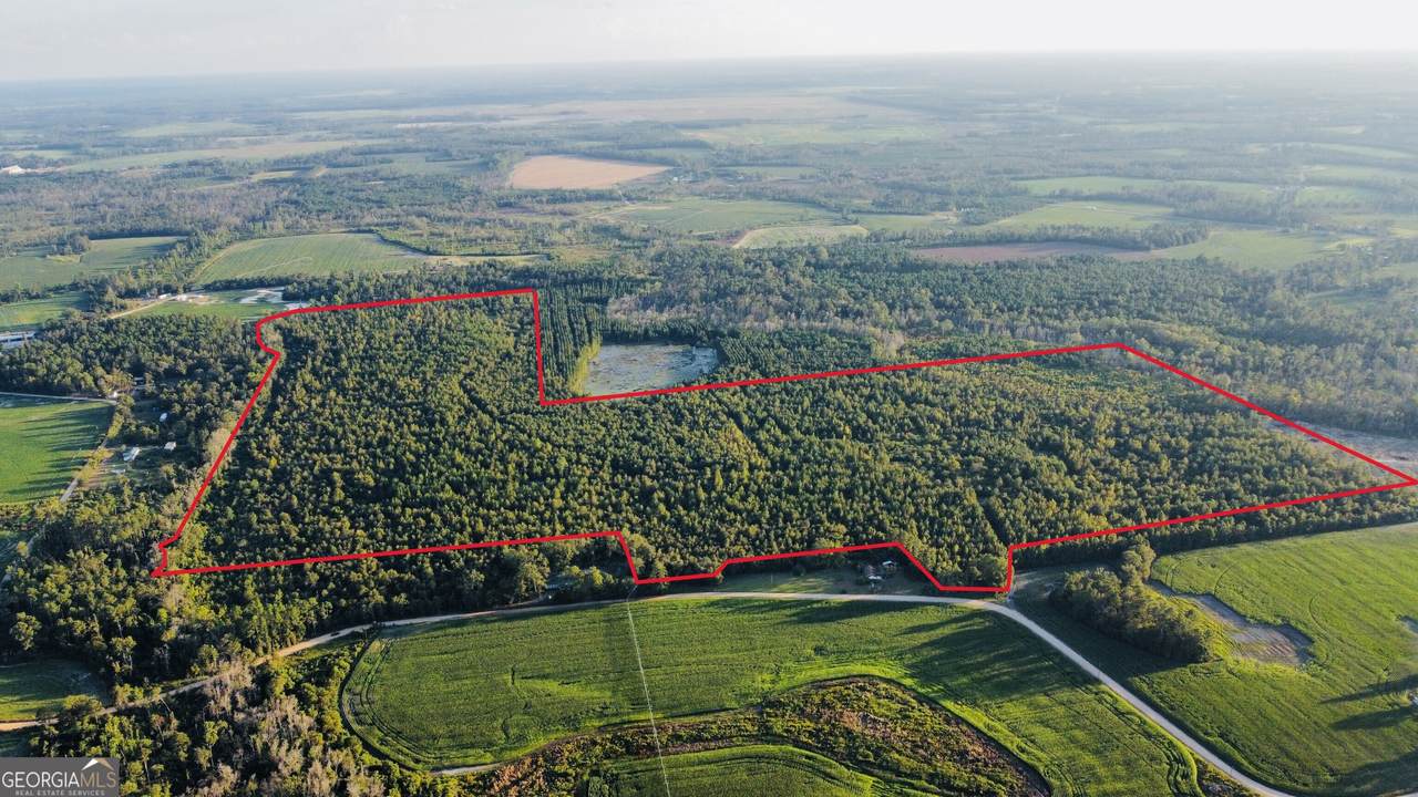 0 Herrington Road - Photo 1