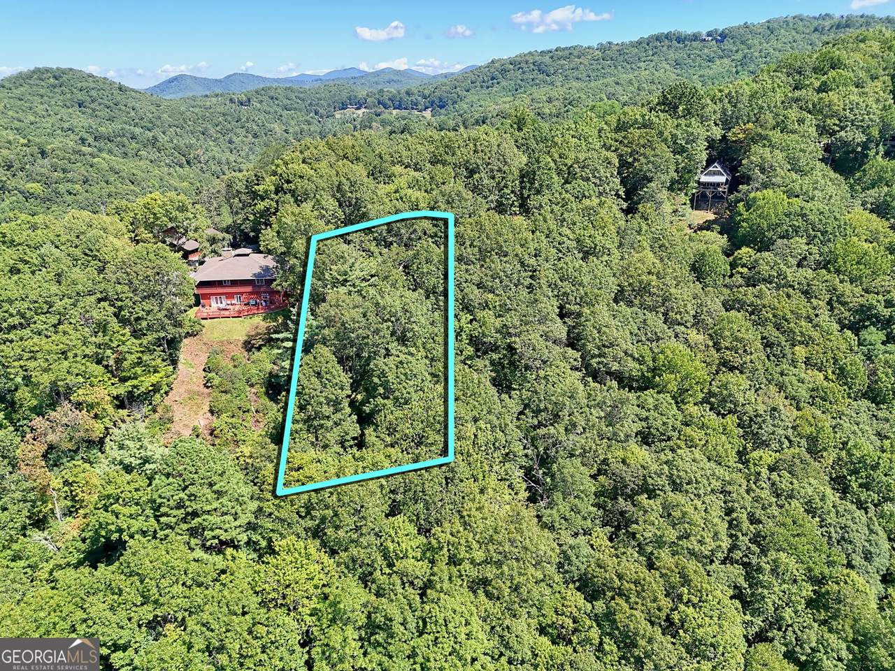 LOT 1 Pleasant Mountain Drive - Photo 1