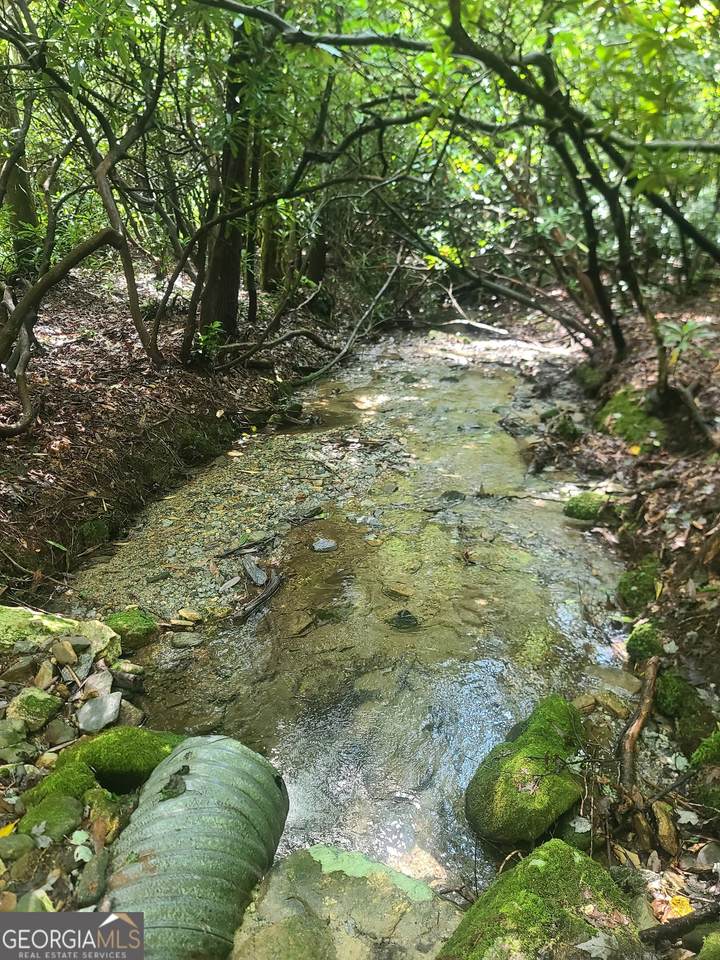 0 Allen Cove Road - Photo 1