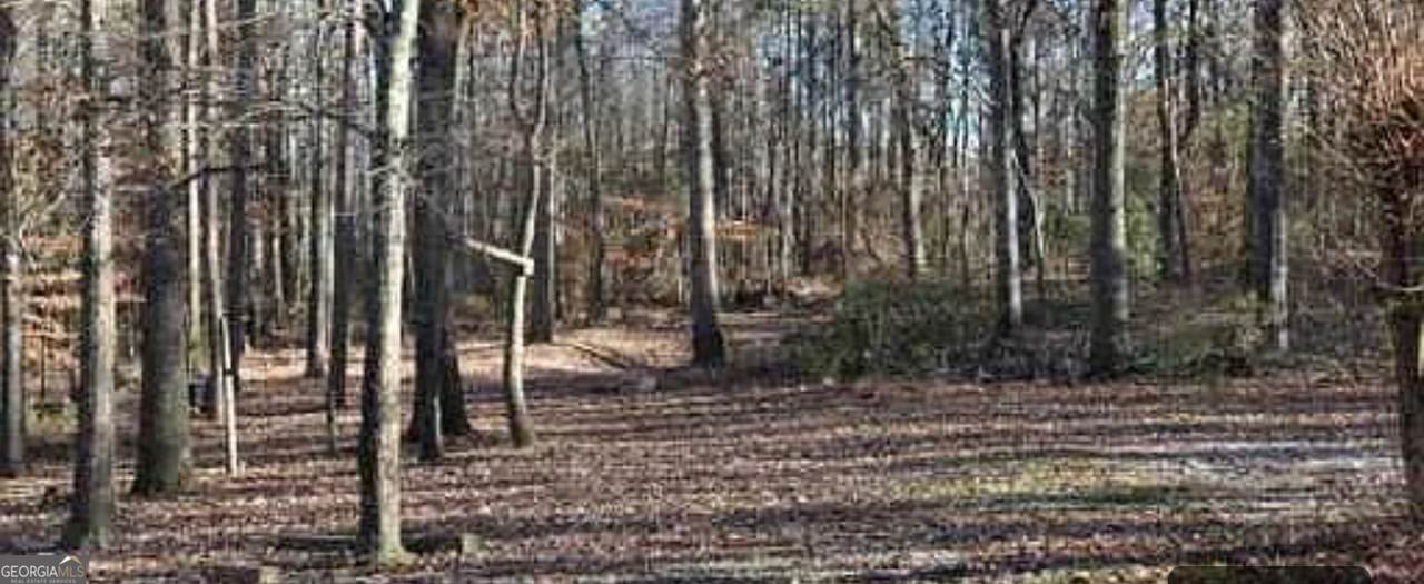 0 Hwy 124 - Photo 1