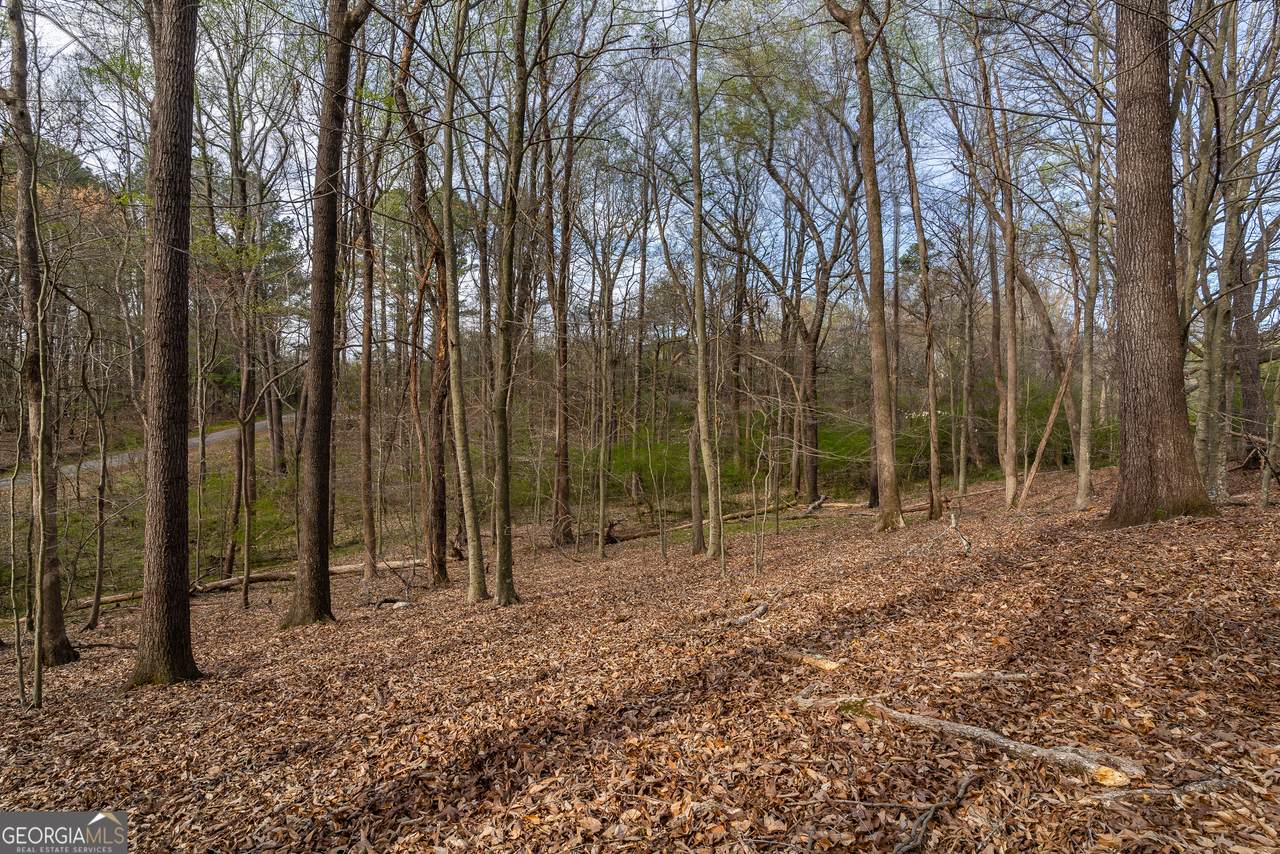 0 Jesse Martin Trail - Photo 1