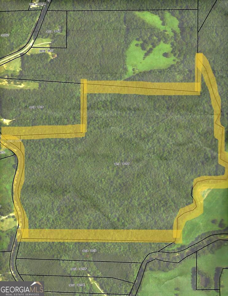 0 George Green Road - Photo 1