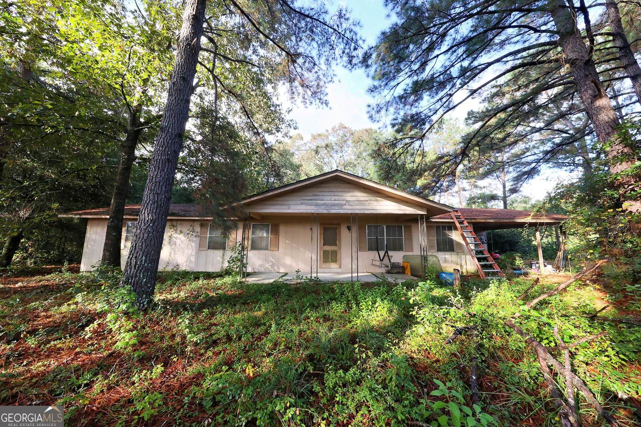 23481 Us Hwy 19 (7.46 Acres) - Photo 1