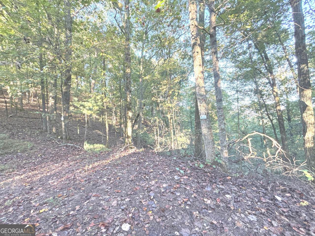 122 Adair Drive - Photo 1