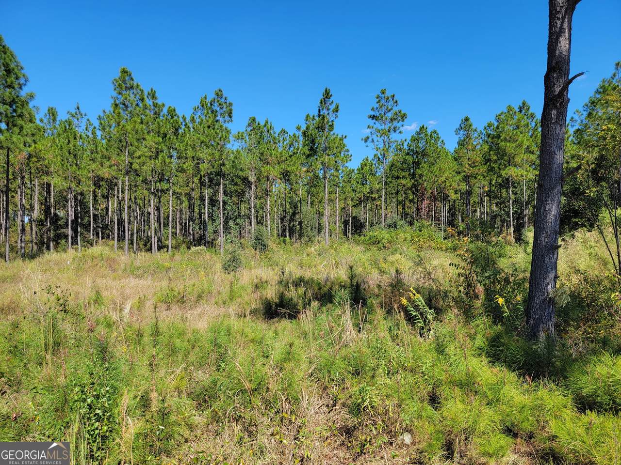 0 Tuton Road - Photo 1