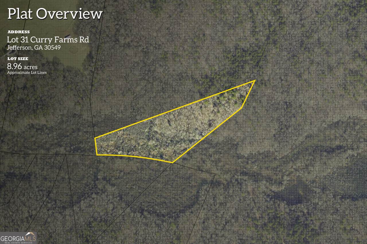 0 Curry Farms Road - Photo 1