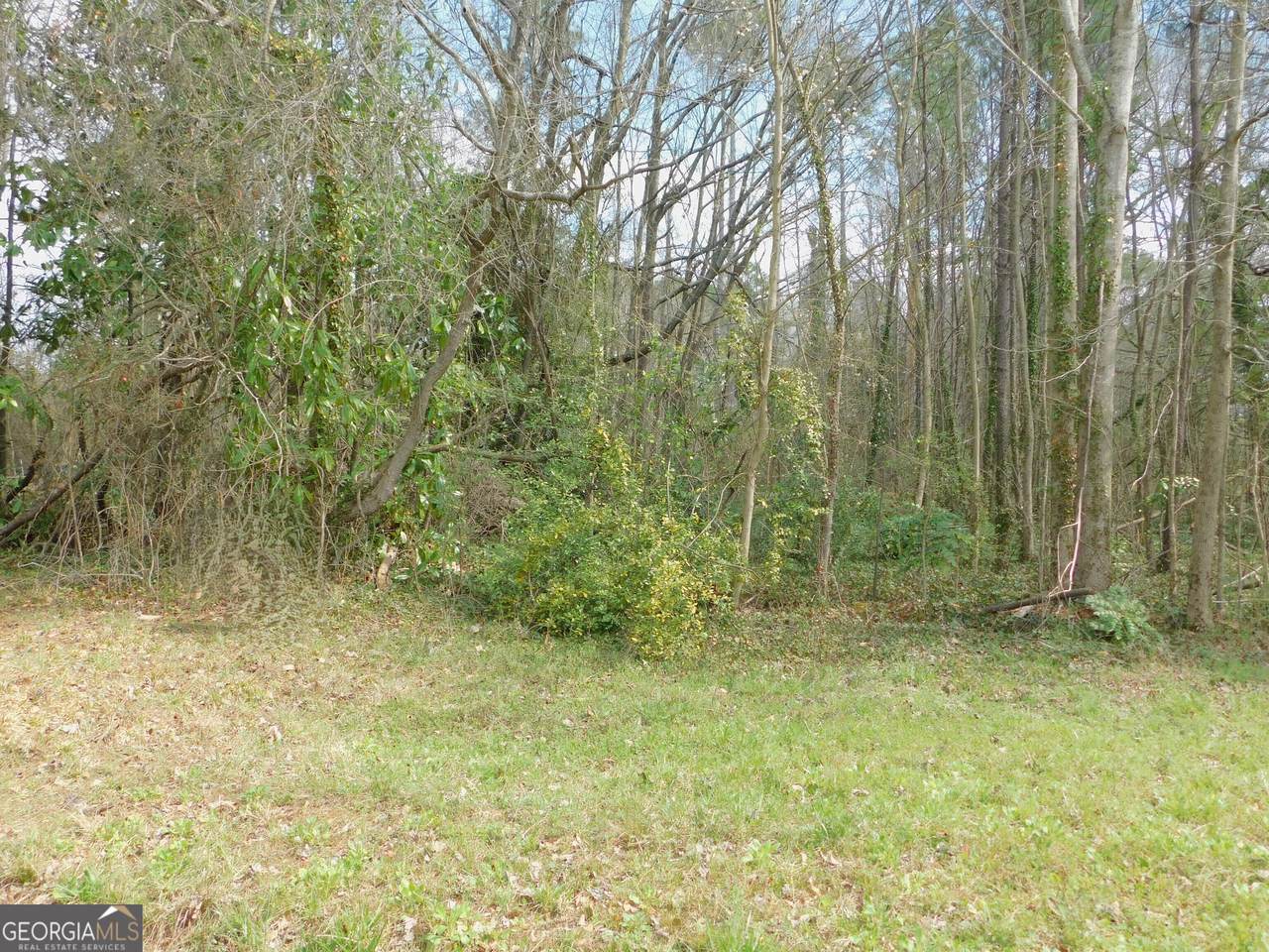 LOT 39 Herndon Boulevard - Photo 1