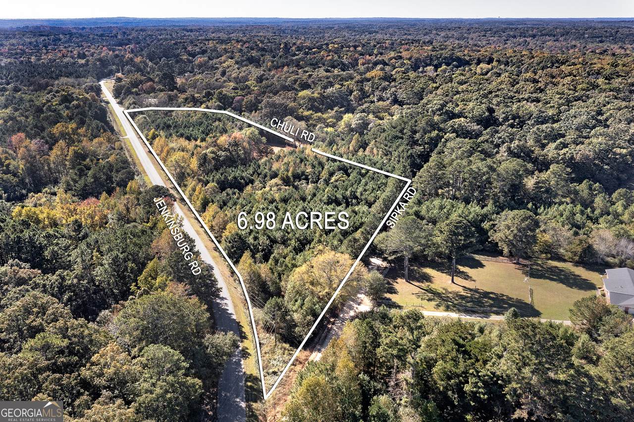 667 Jenkinsburg Road - Photo 1