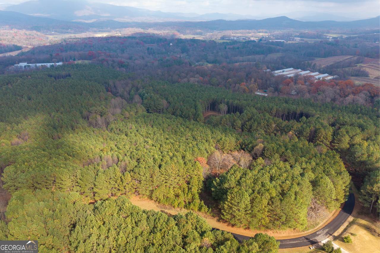 0 Foxpaw Leaf Lane - Photo 1