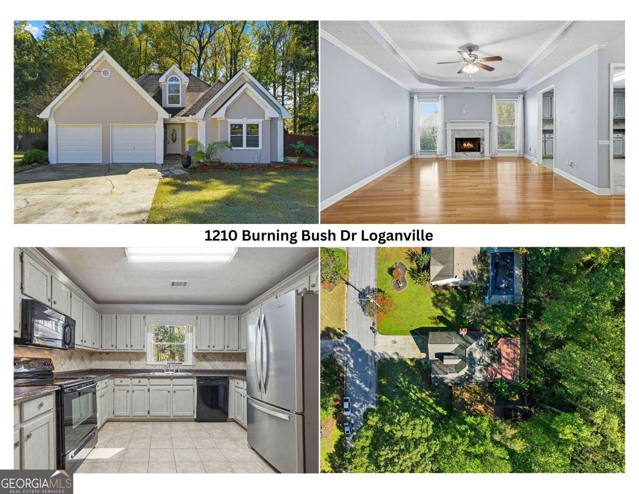 1210 Burning Bush Drive - Photo 1