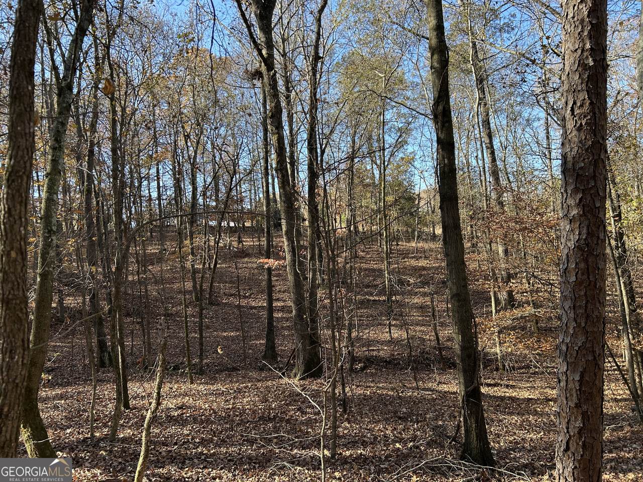 0 Dove Hill Road - Photo 1