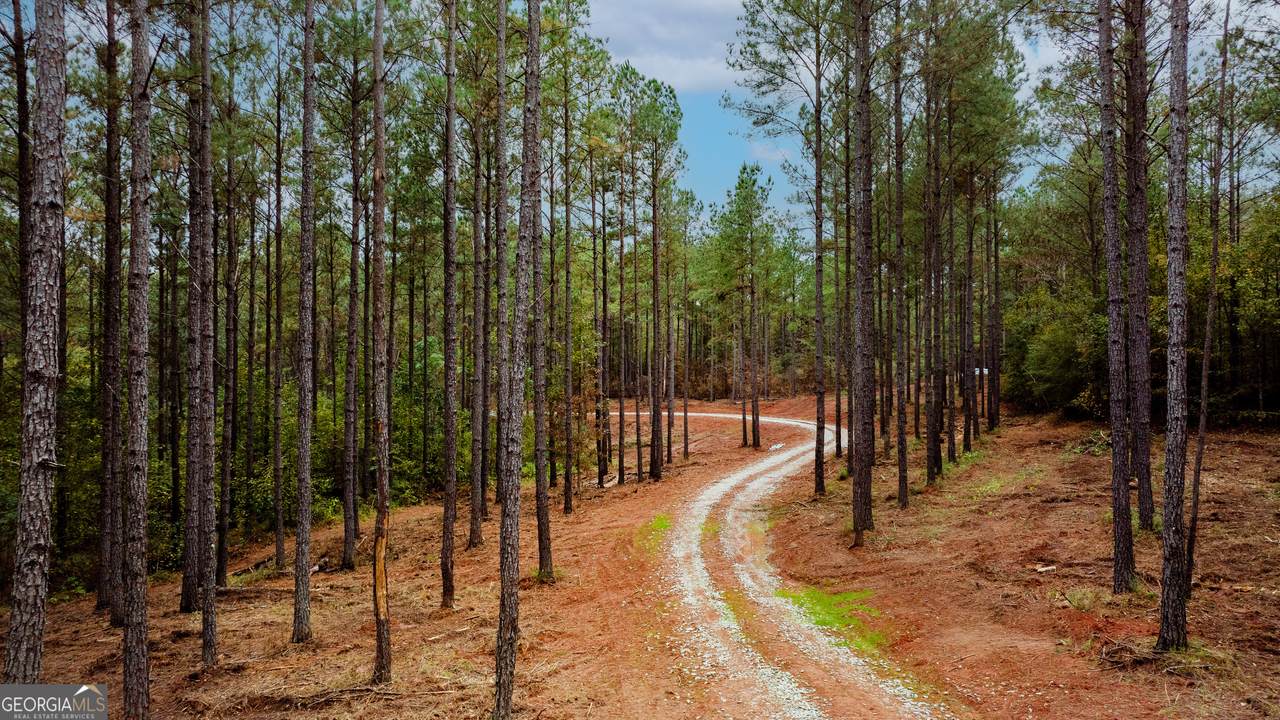 1279 Lanier Road - Photo 1