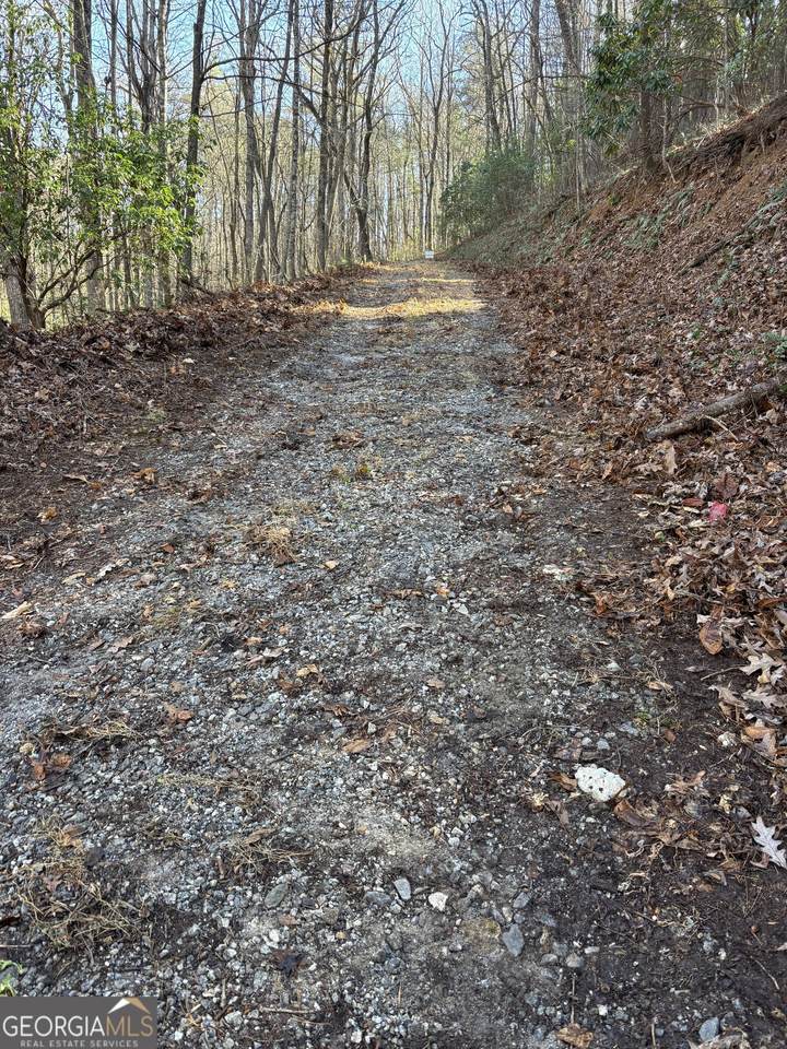 0 Amaryllis Lane - Photo 1