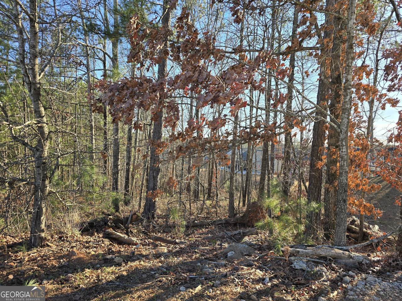 https://bt-photos.global.ssl.fastly.net/gamls/1280_boomver_2_10648509-2.jpg