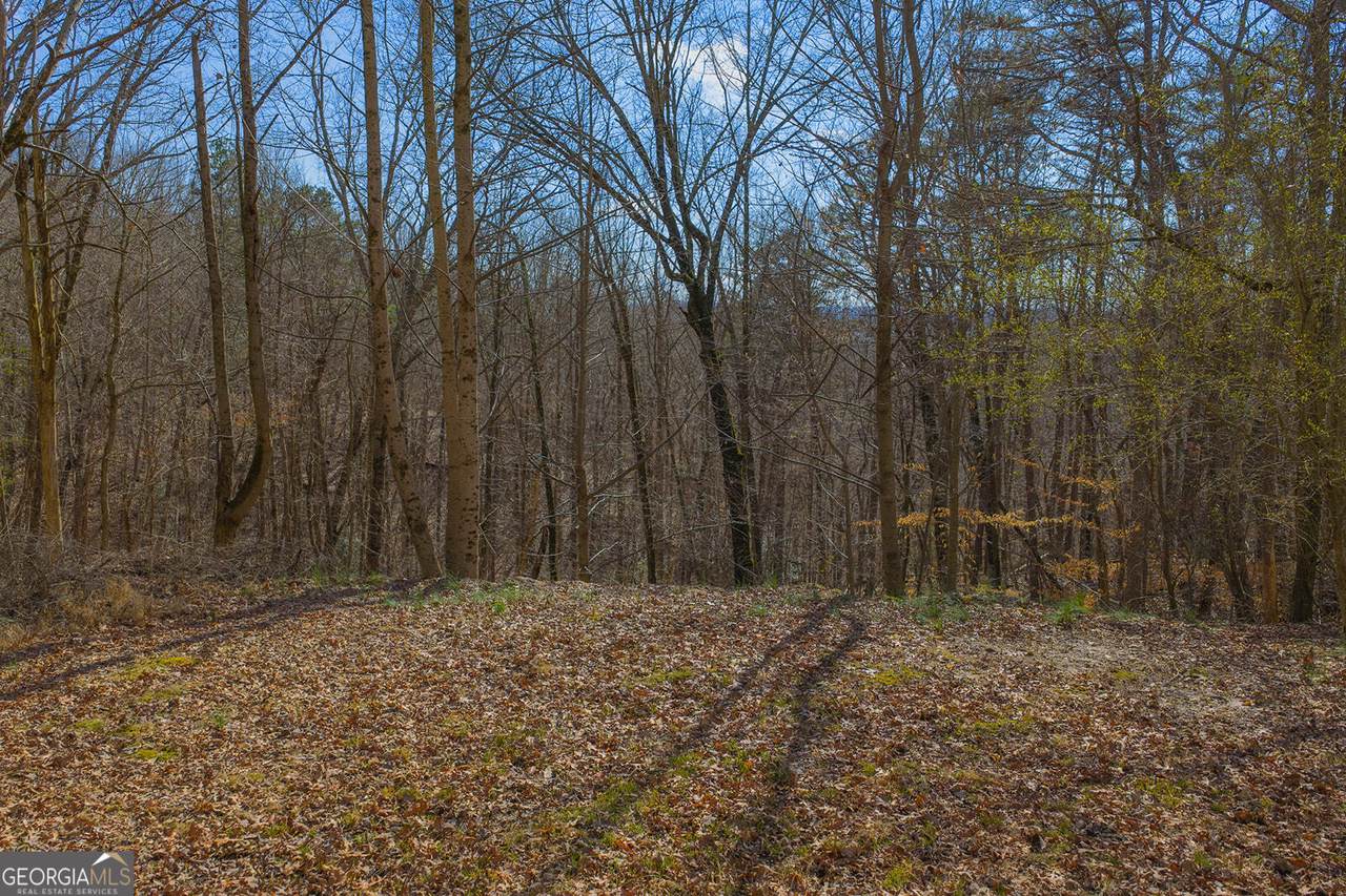 LOT 59 Timberwalk Drive - Photo 1