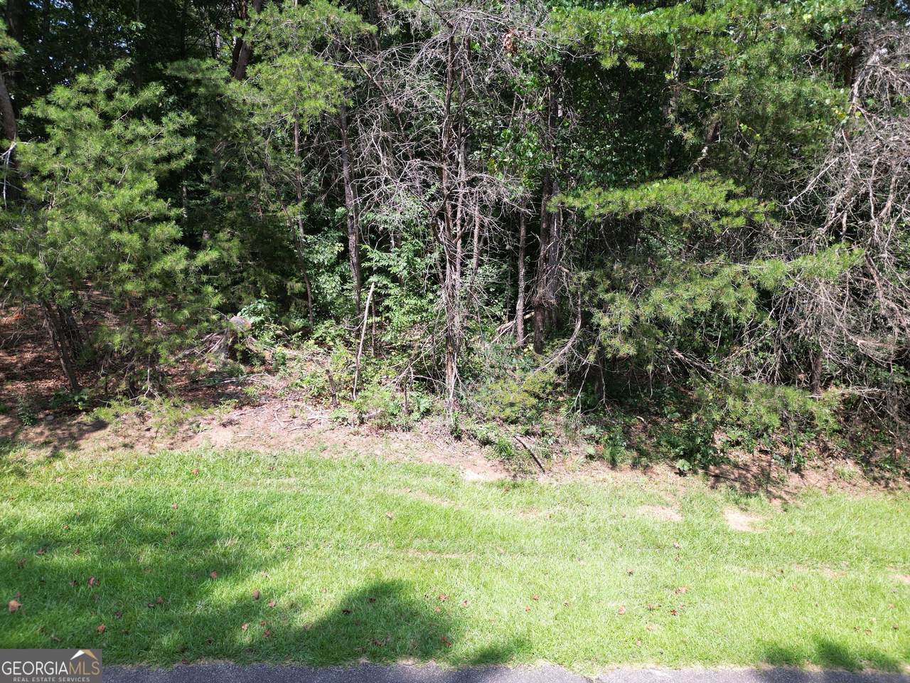 LOT 21 Deer Chase Road - Photo 1