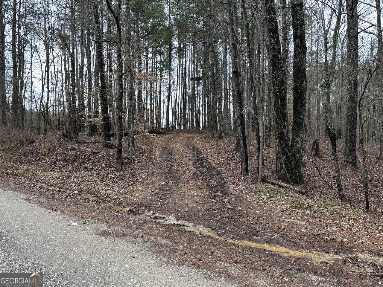 0 County Road 59 - Photo 1