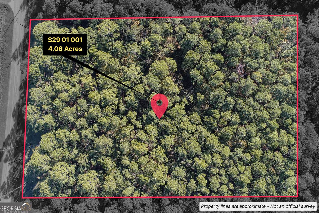 0 St. Patrick - Photo 1