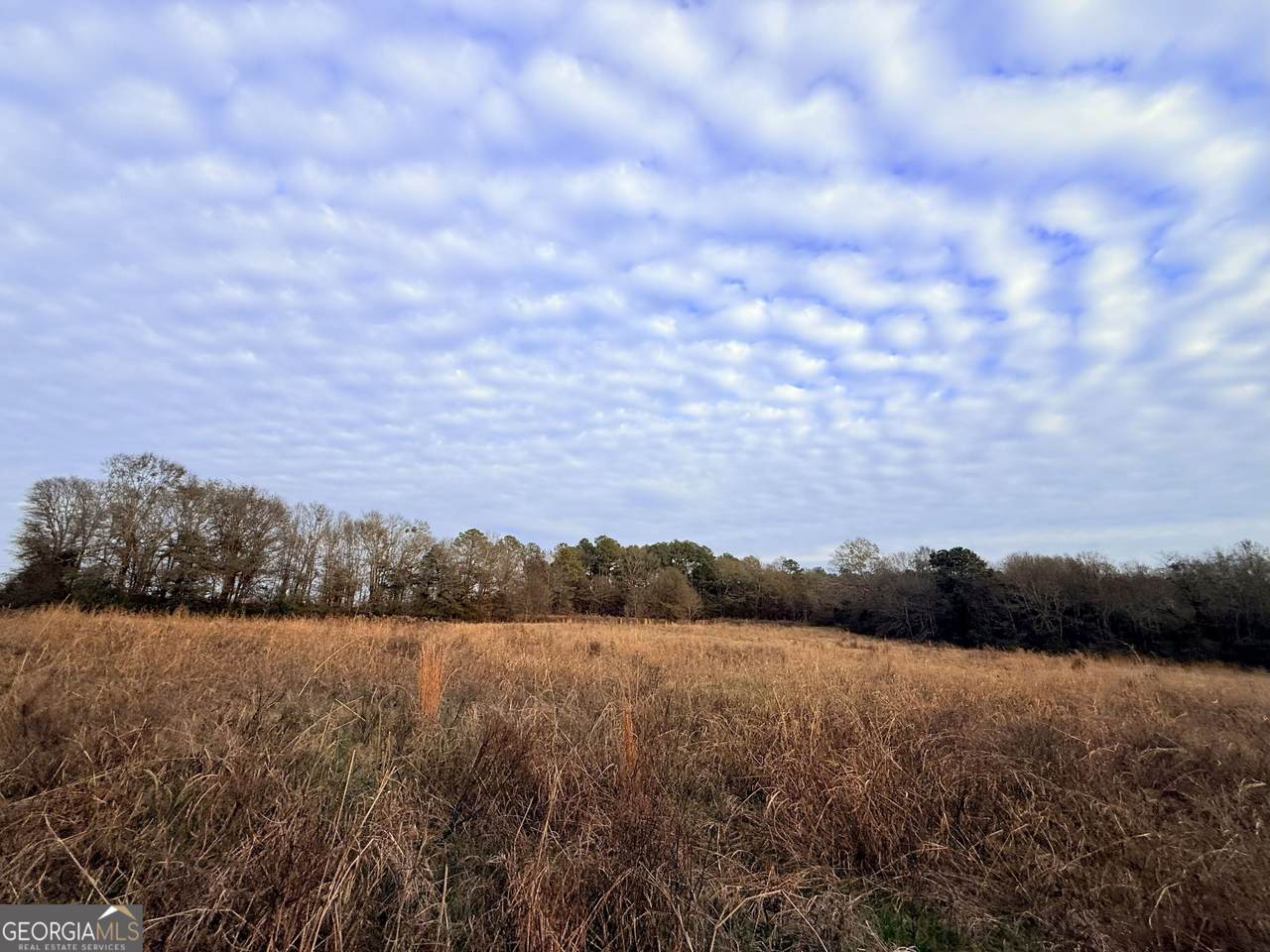 0 Bowman Highway - Photo 1