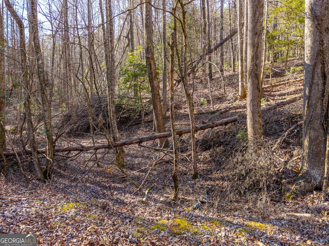 0 Satsuma South Court - Photo 1