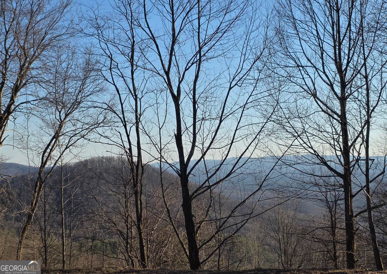 0 Big Creek Road - Photo 1