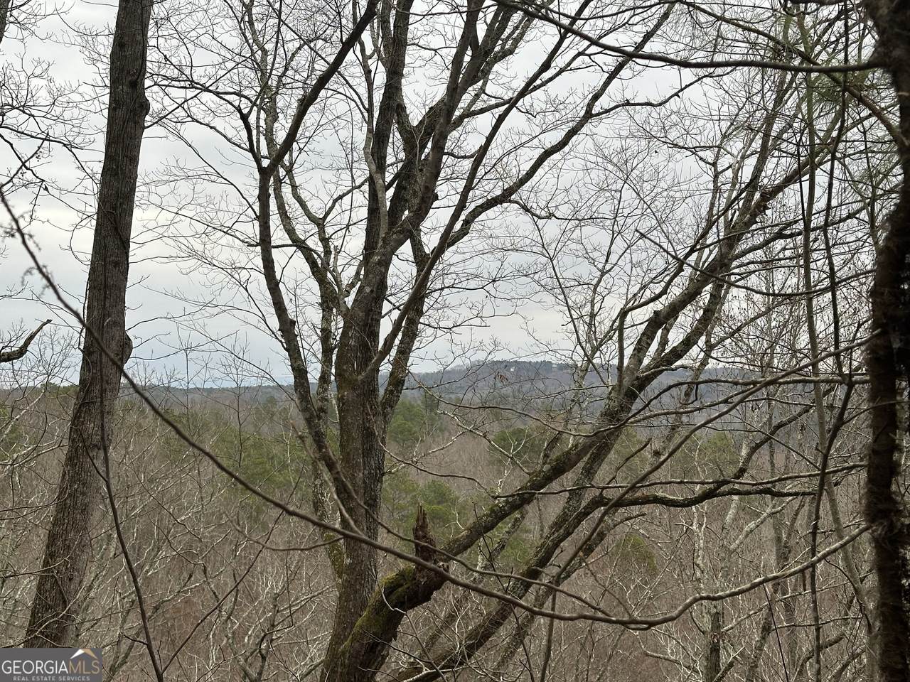 306 Oberlin Court - Photo 1