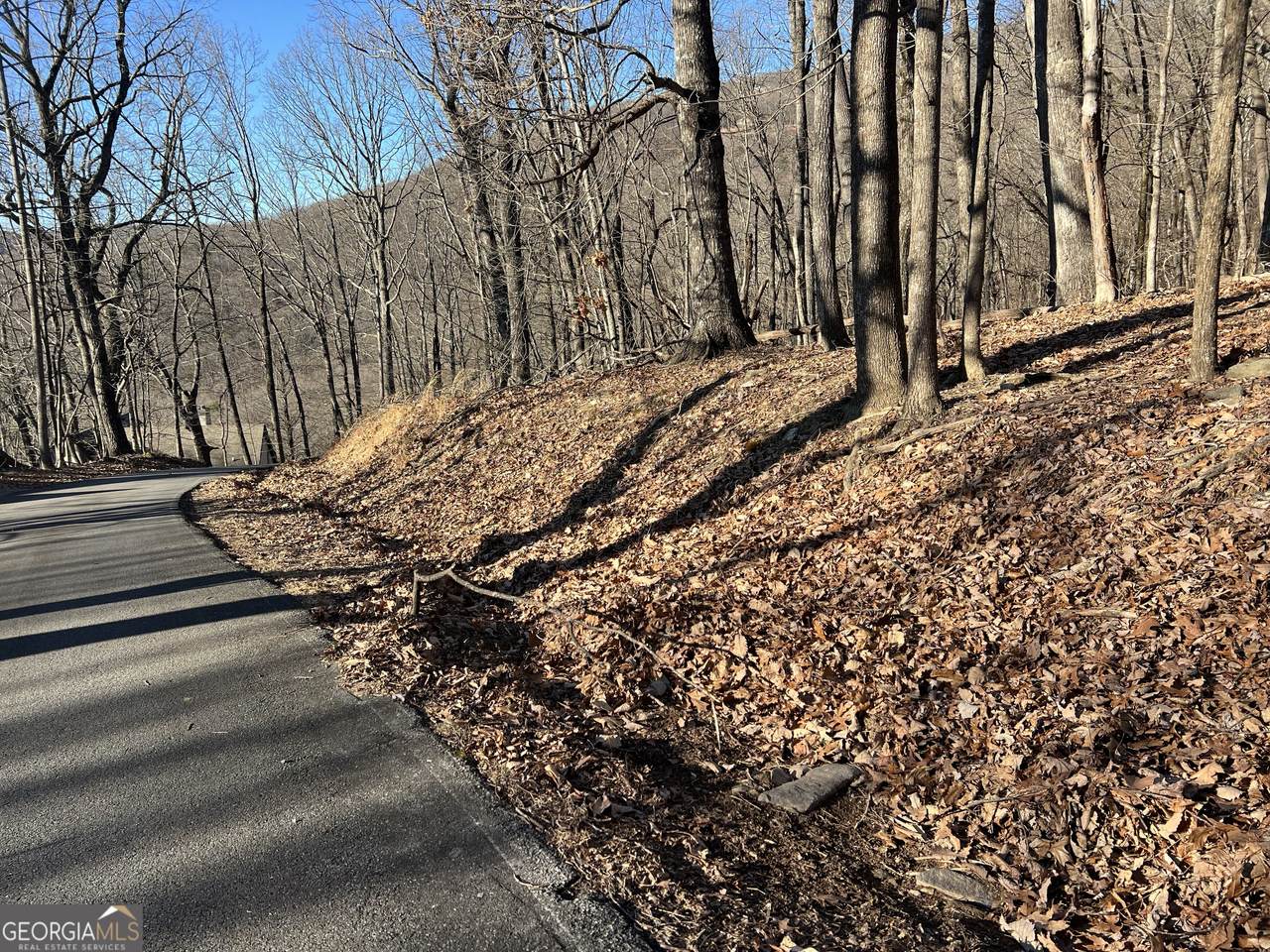 245 Sassafras Mountain Trail - Photo 1