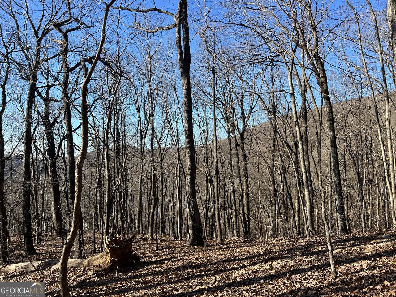 0 Sassafras Court - Photo 1