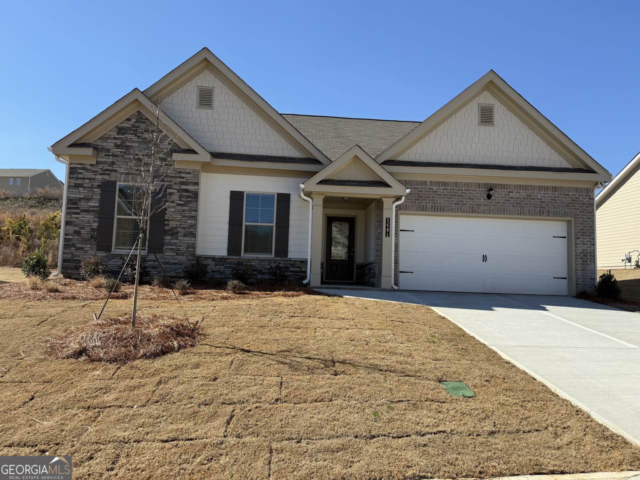 1401 Sunny Valley Lane - Photo 1