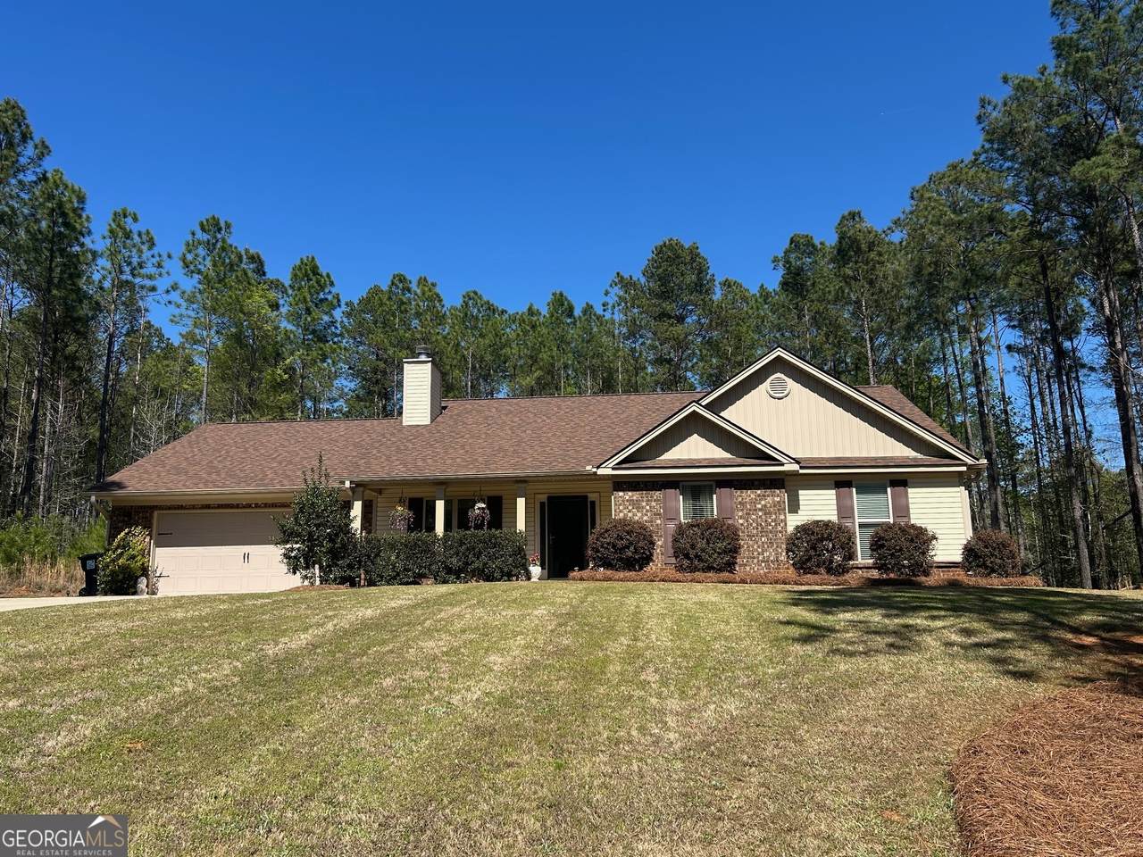 1703 Sara Hunter Lane - Photo 1