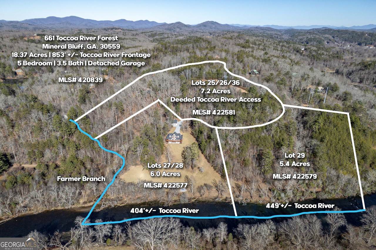 LOT 29 Toccoa River Forest - Photo 1