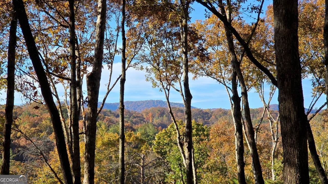 LOT 5 Gold Ridge Trail - Photo 1