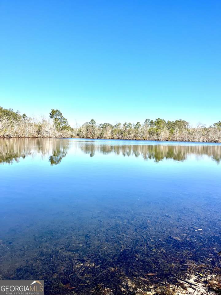 0 Lynntown Road  (Lot 1) - Photo 1