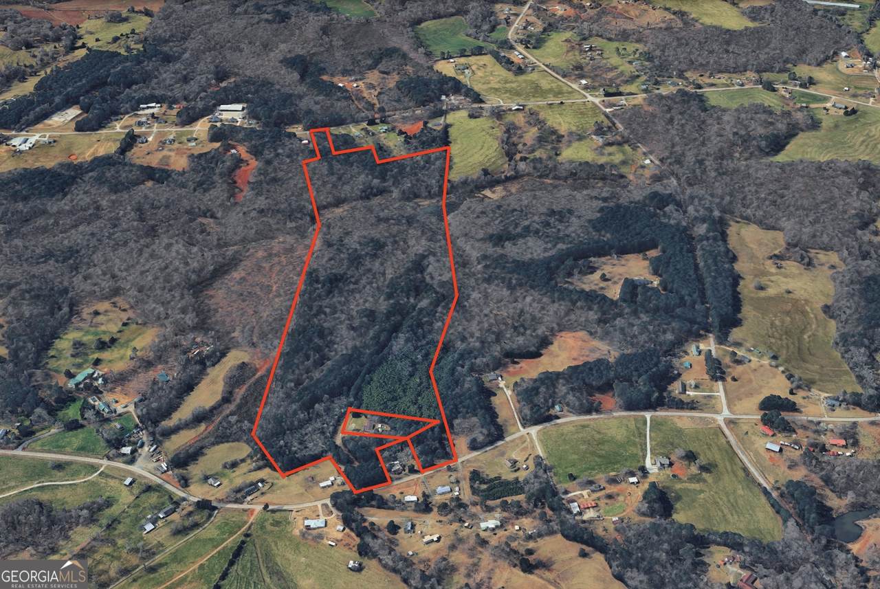 61 Highway 145 - Photo 1