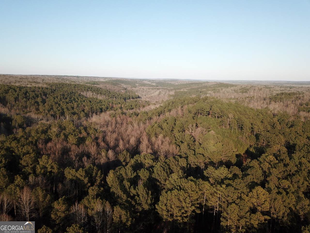 0 - TRACT 2 Mt Zion Church Road - Photo 1