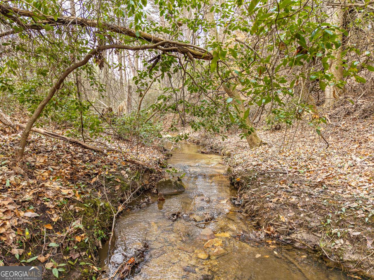 LT 167 Henderson Mountain Road - Photo 1